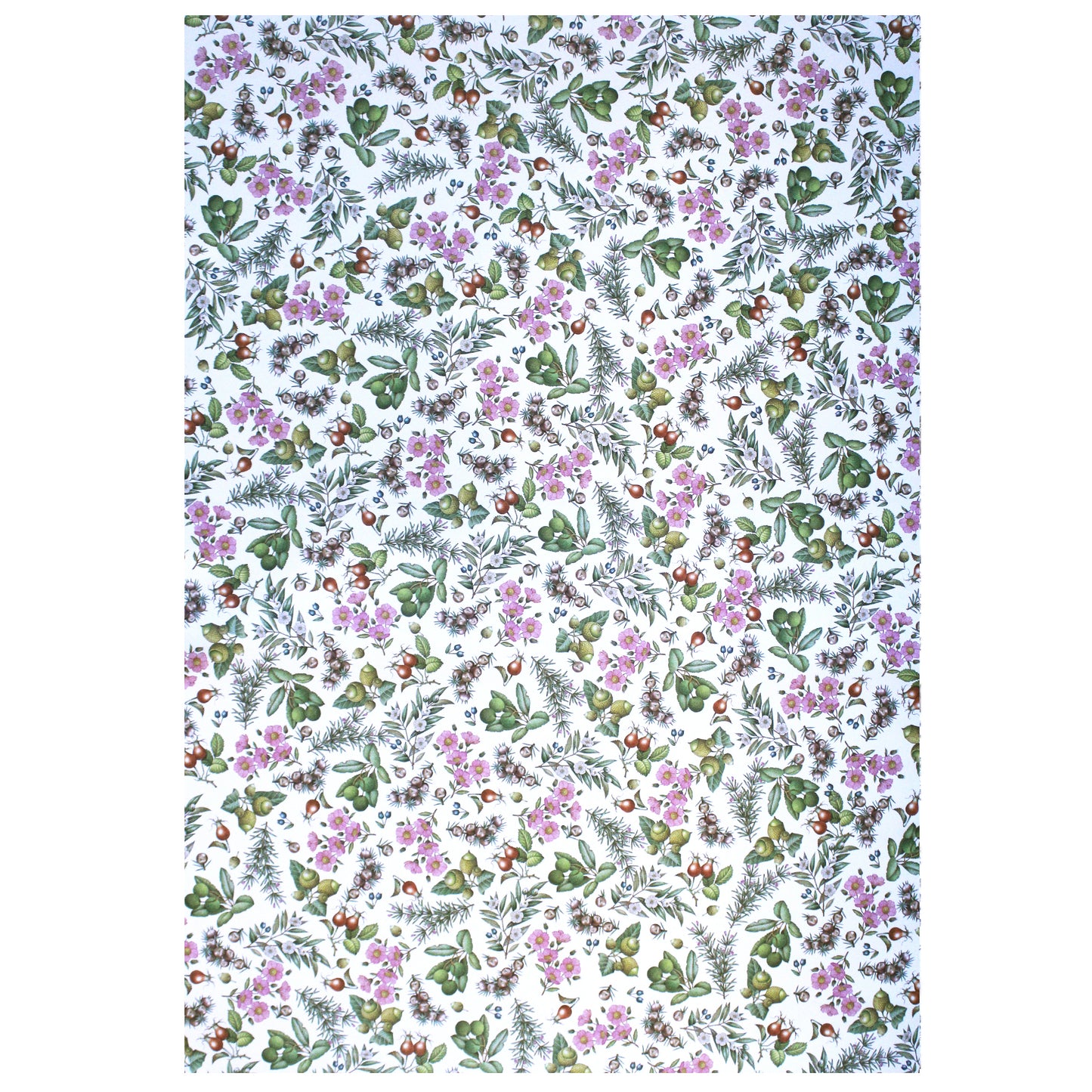 Rossi Mediterranean Plants Wrapping Paper