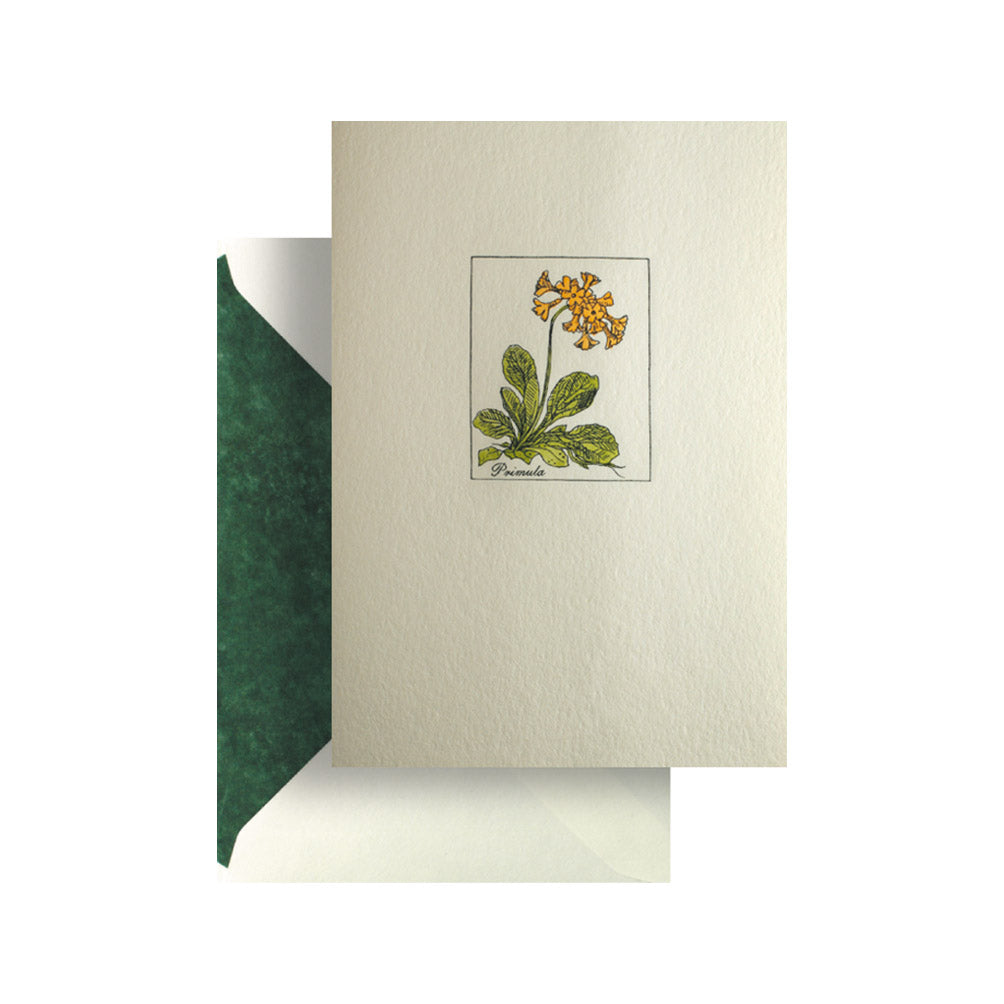 Primrose Card