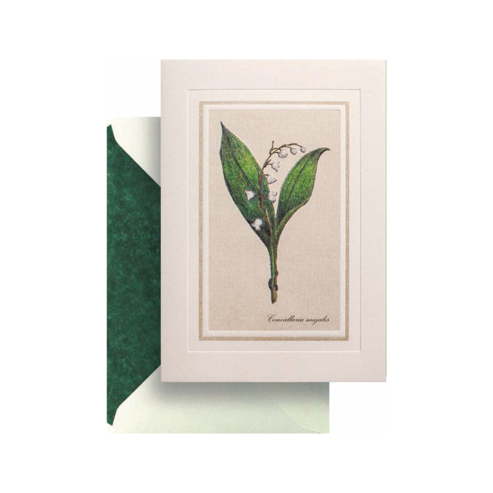 Lily of the Valley Card