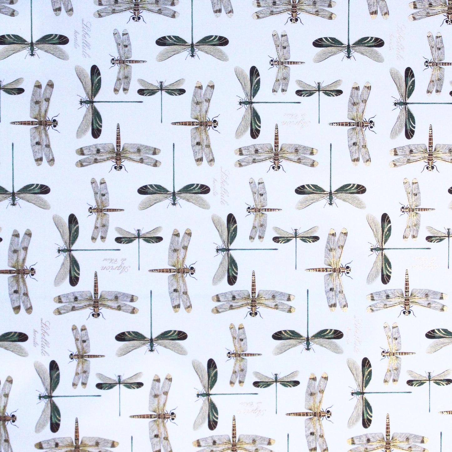 Rossi Dragon-flies Wrapping Paper