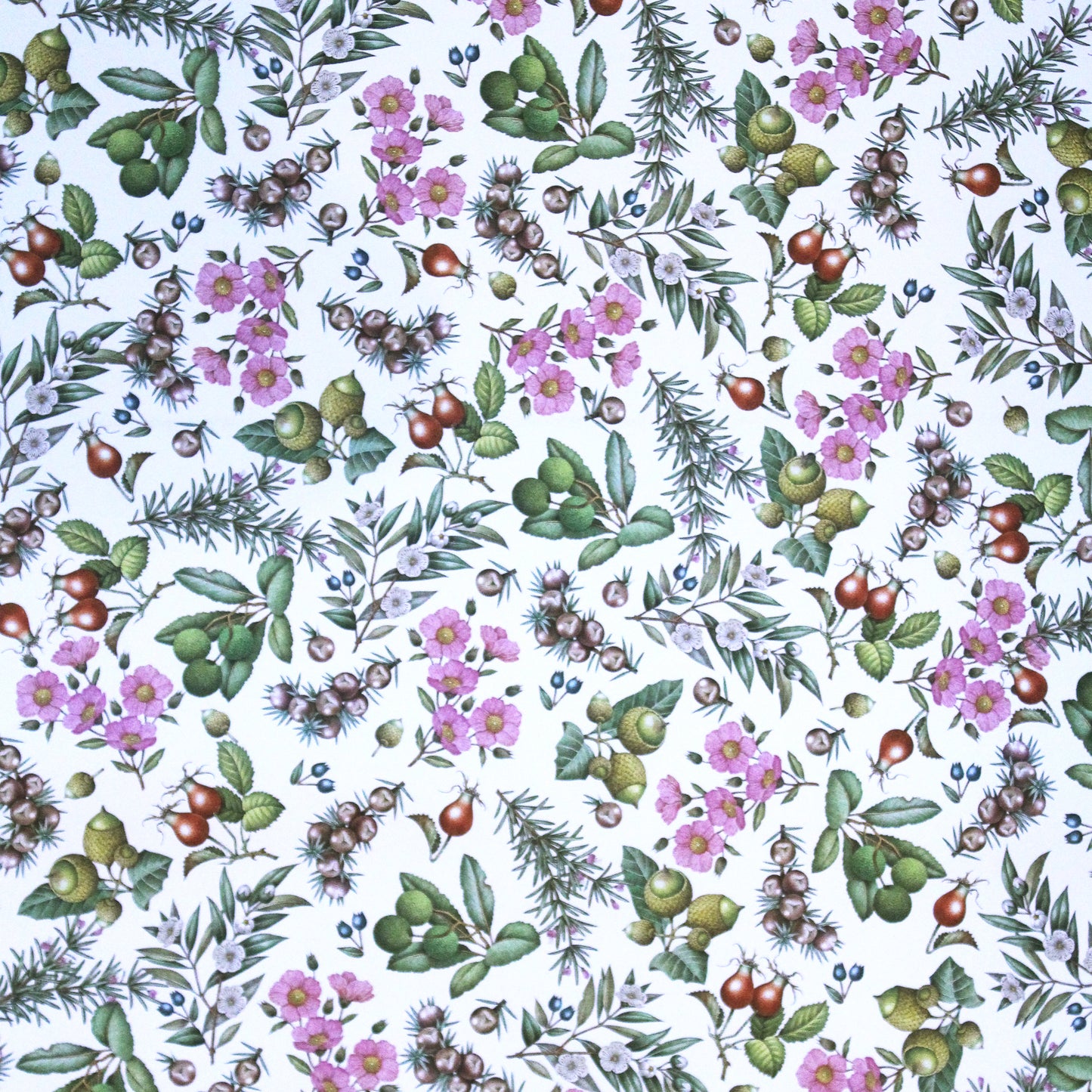 Rossi Mediterranean Plants Wrapping Paper