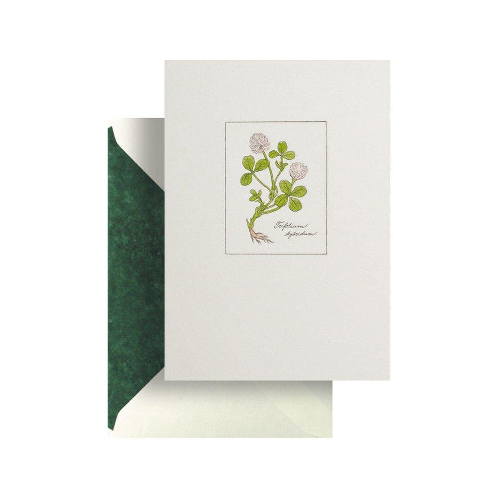 Clover Card