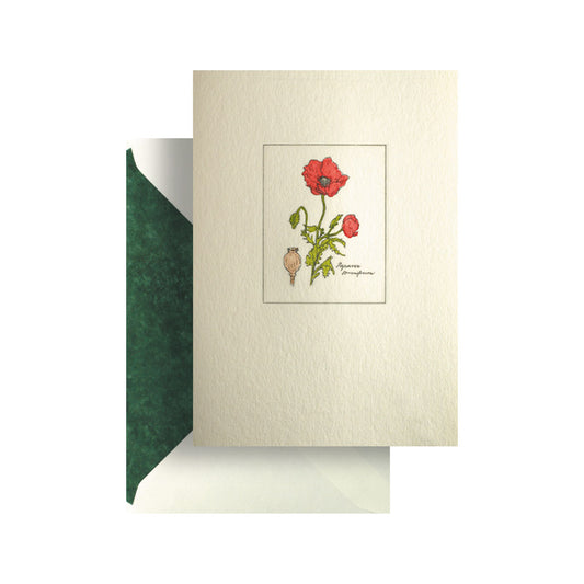 Poppy Card