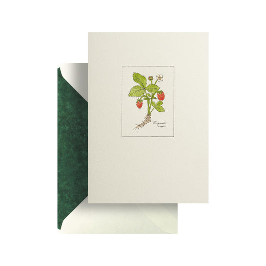 Strawberry Card