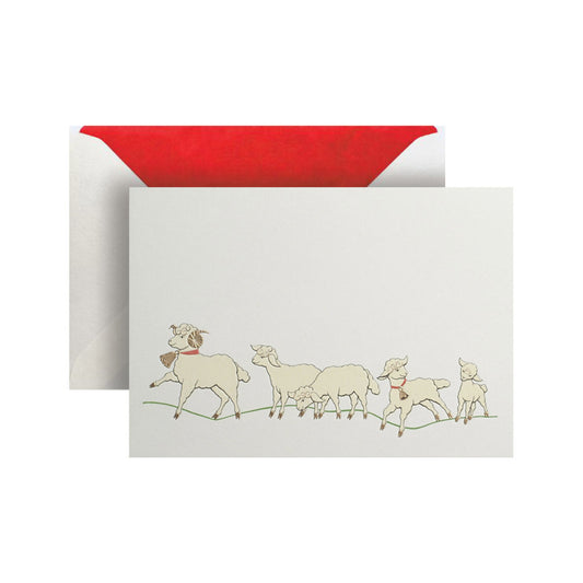 Flock Of Sheep Greeting Card