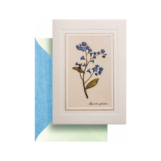 Forget-me-not Card