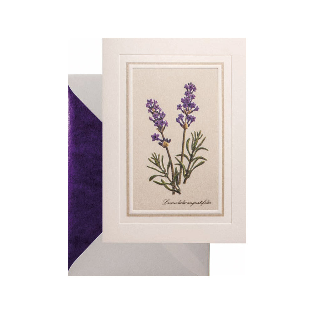 Lavender Card